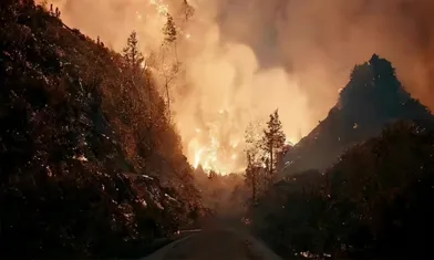 The Wildfire Has Been Put Out. What Other Applications Can Thermal Imaging Camer